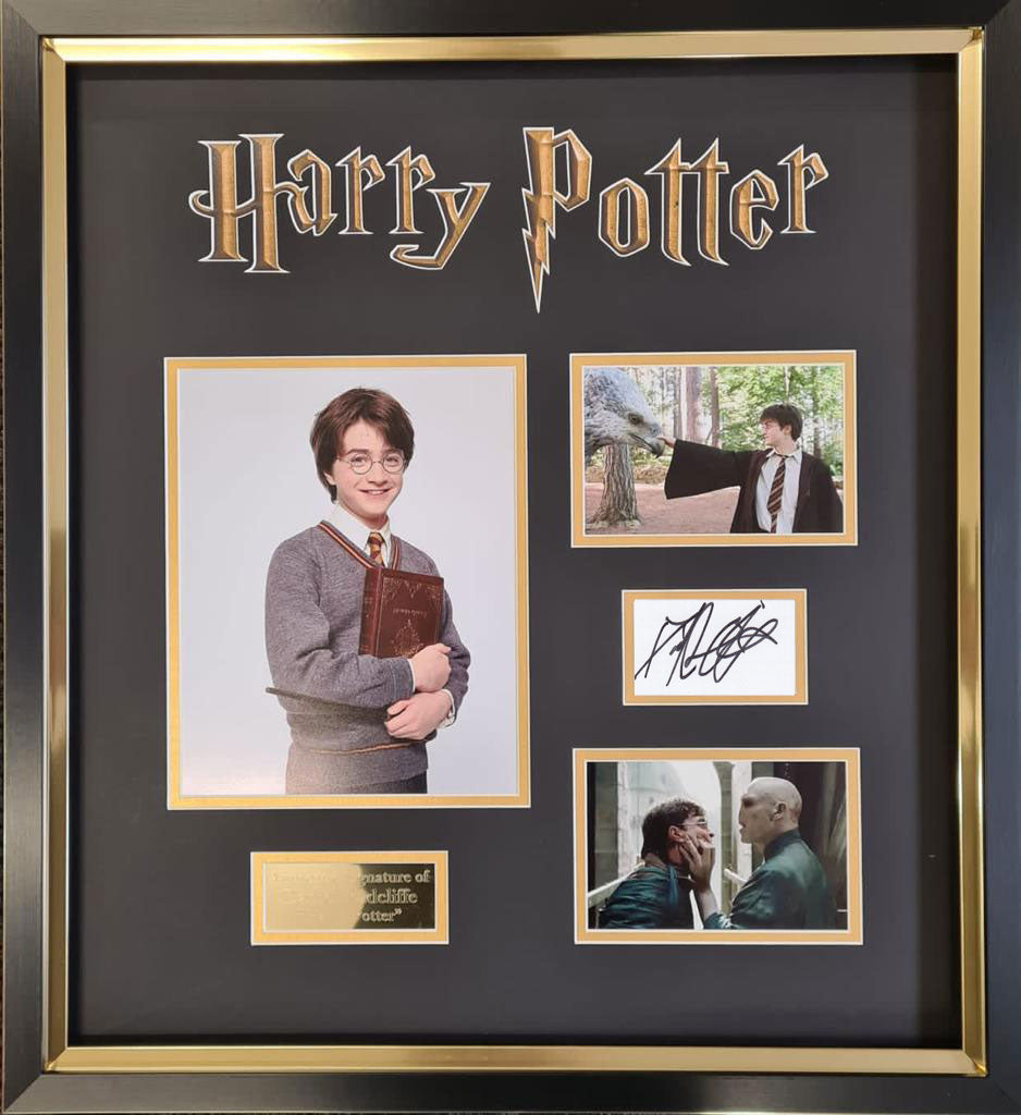DANIEL RADCLIFFE signed autographed photo chest scene COA Hologram
