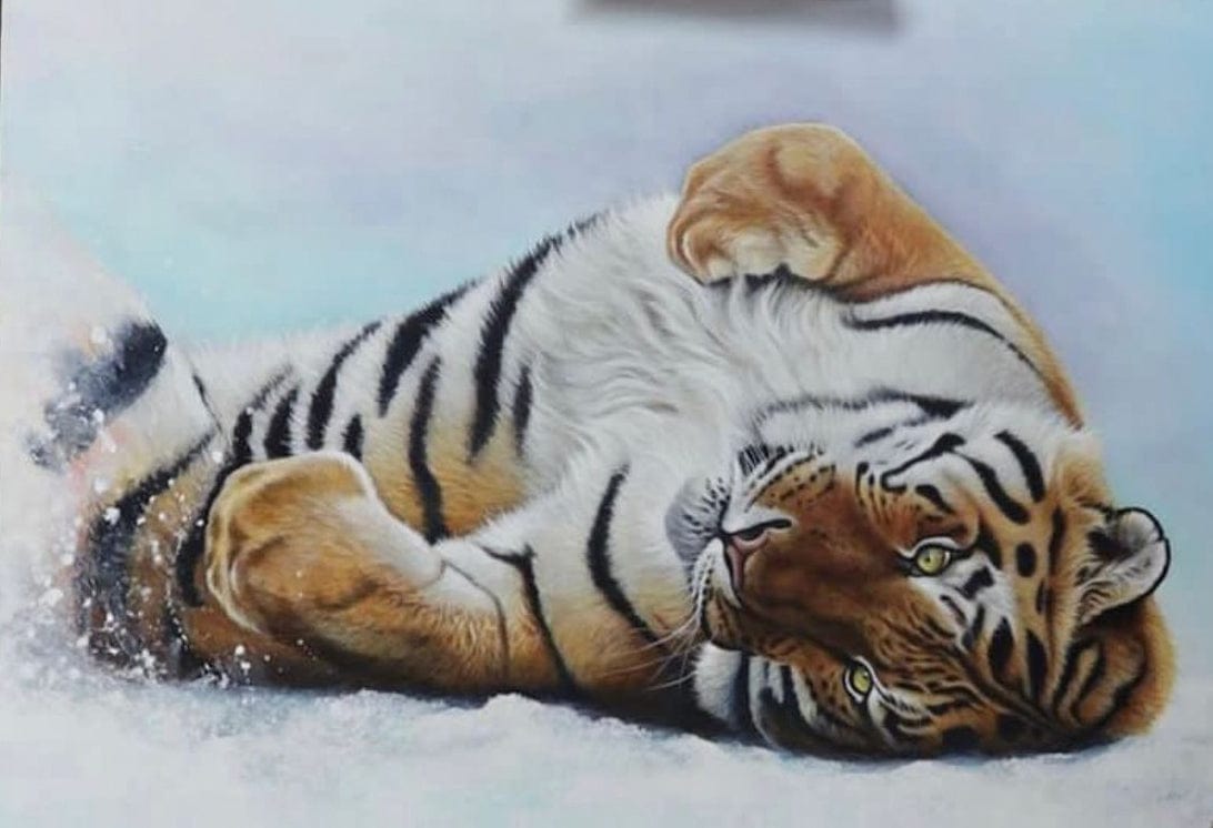 Print of a Siberian Tiger in the snow