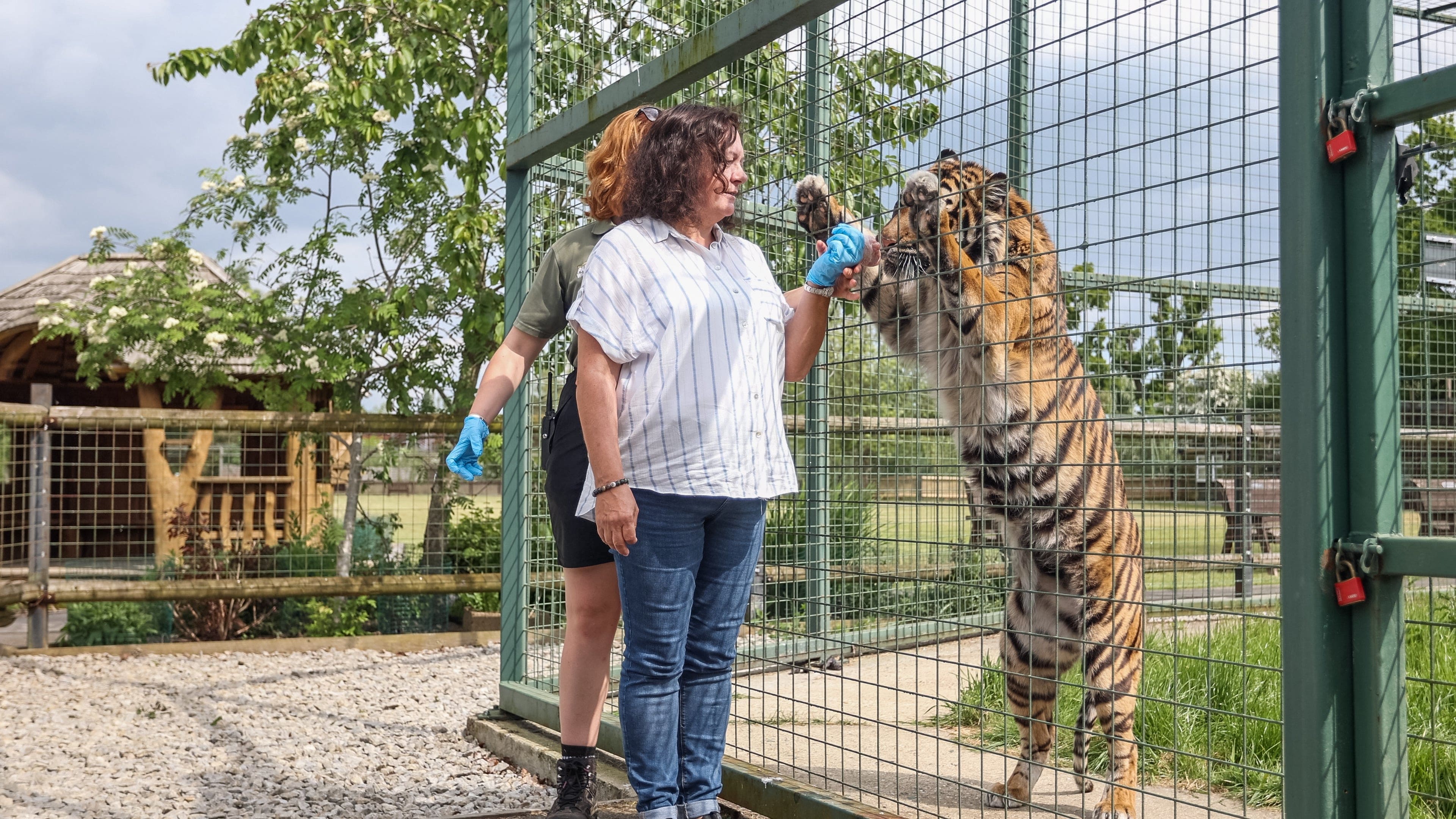 Private VIP tour of The Big Cat Sanctuary